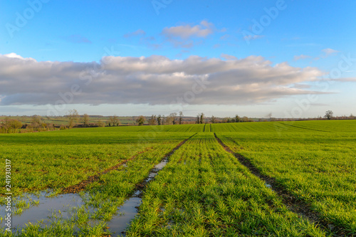 Fields in rural Northamptonshire