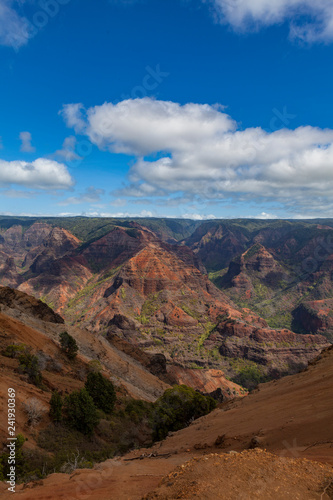 Waimea Canyon Kauai