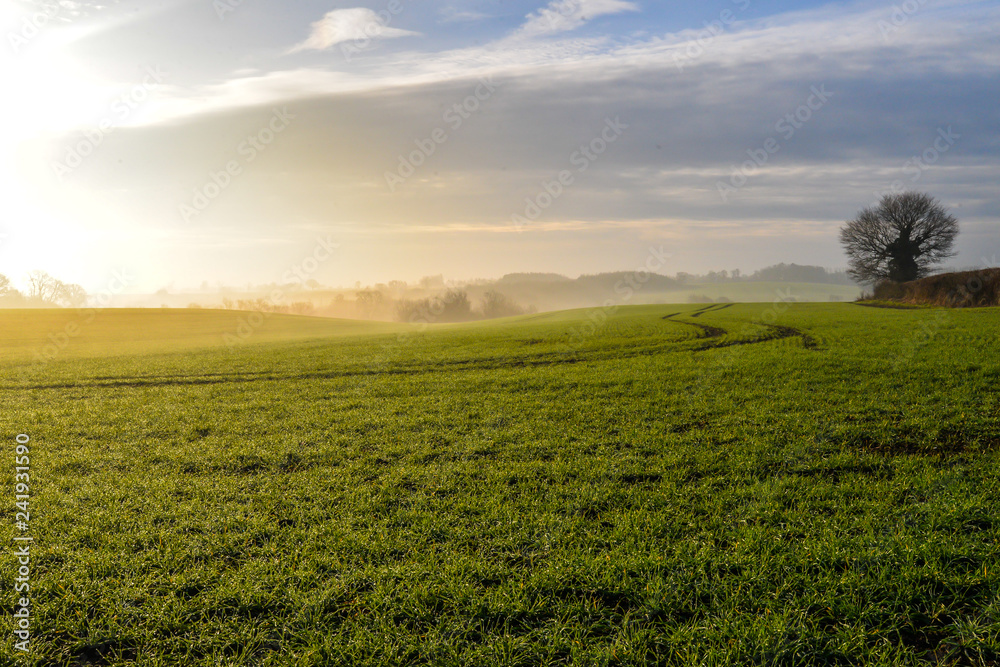 Misty morning in Woodend - Uk