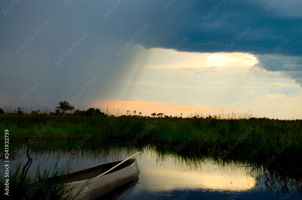 Obraz premium Makoro - Okavango Delta - Botswana