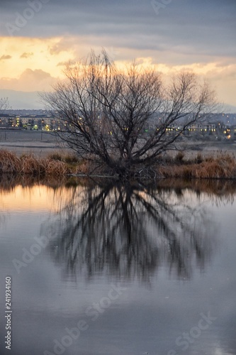 Views of Josh’s Pond walking path, Reflecting Sunset in Broomfield Colorado surrounded by Cattails, plains and Rocky mountain landscape during sunset. United States.