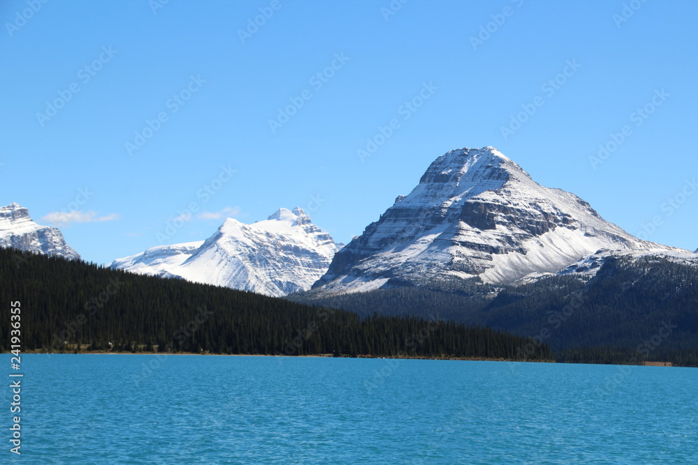 Mountains By Bow Lake, Banff National Park, Alberta