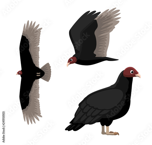 Turkey Vulture Cartoon Poses Vector Illustration