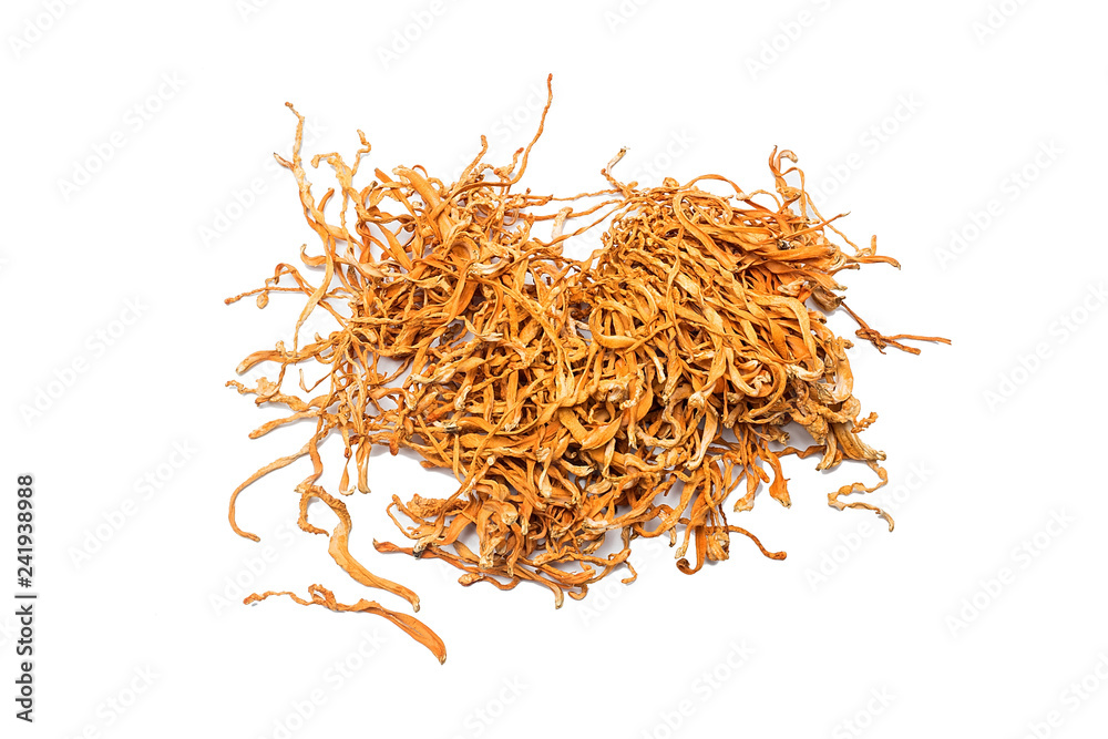 Fototapeta premium Fungus food cordyceps flower