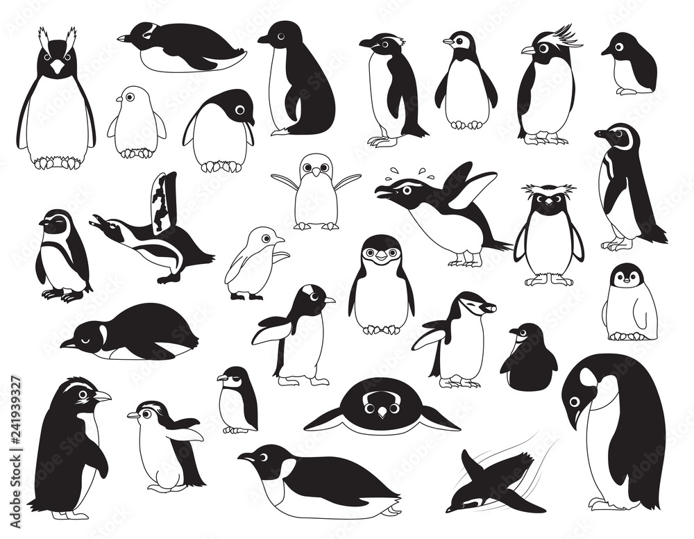 Naklejka premium Ładny ptak różnych pingwinów czarno-biały zestaw ilustracji