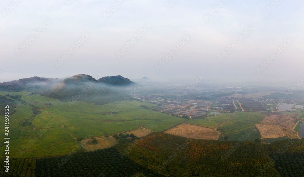Obraz premium Aerial view of agriculture in the morning with fog and sunshine