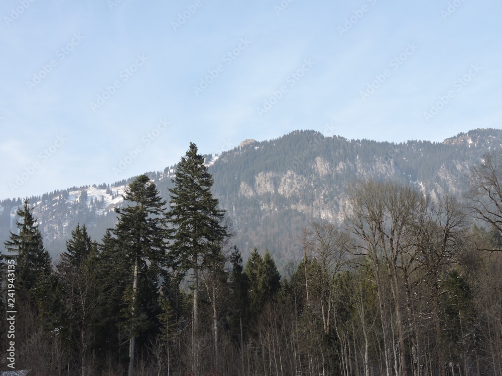 Mountain Scene Mountain Scene
