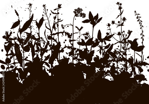 Background with drawing herbs and flowers