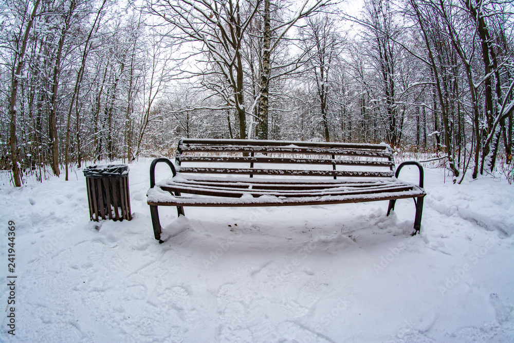 Park bench under the snow in the winter park