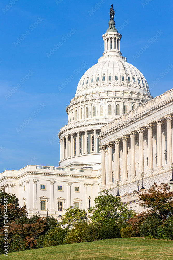 Fototapeta premium The United States Capitol building on a sunny day. Washington DC, USA.