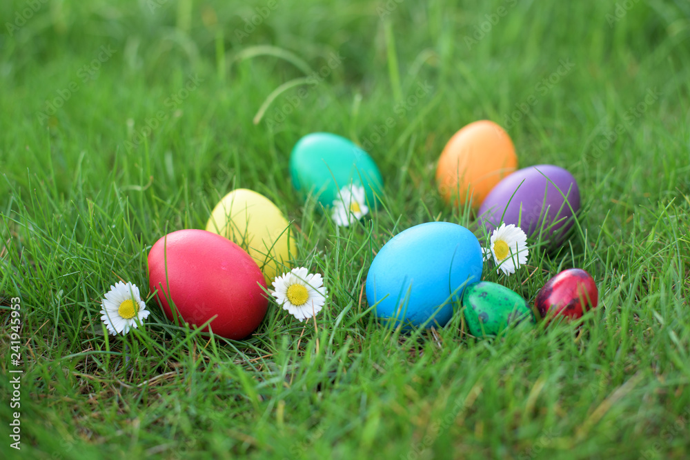 Colored Easter eggs in a grass