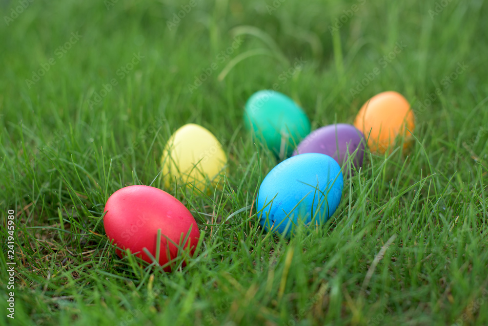 Easter hunt - colored hen eggs in a grass
