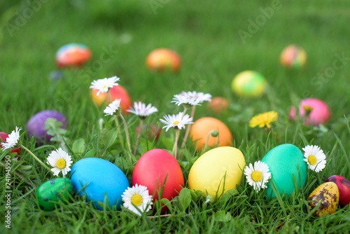 Easter eggs in green grass