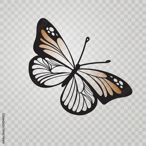 Stylized Monarch Butterfly black line icon isolated on transparent background. Vector illustration for insect