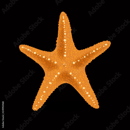 Realistic Colorful Starfish on black Background.