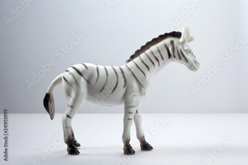 zebra isolated on white