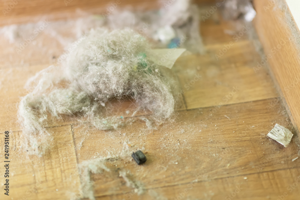 Dust and dirt on a wooden floor in bedroom. Dust and dirt on a wooden floor in bedroom.