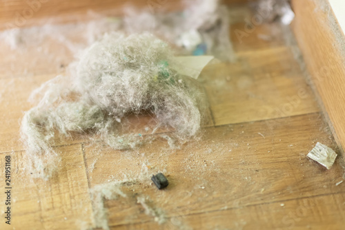 Quadro su tela Dust and dirt on a wooden floor in bedroom.