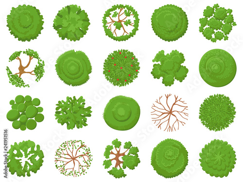 Top view tree. Planting green trees, park map vegetation and tropical forest maps viewing from above vector illustration set