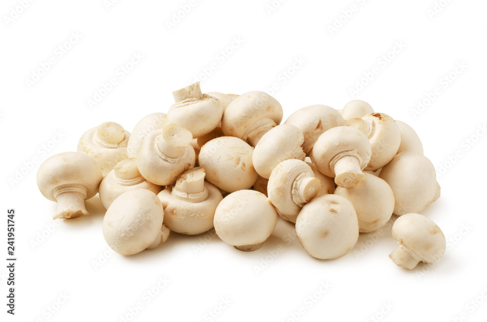 Mushrooms champignon isolated