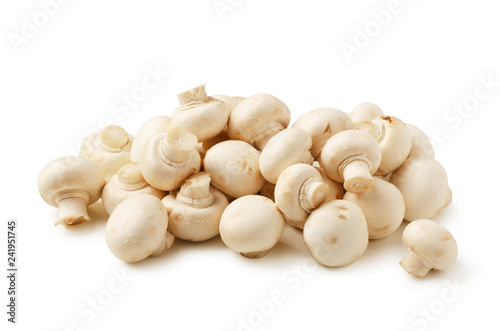 Mushrooms champignon isolated