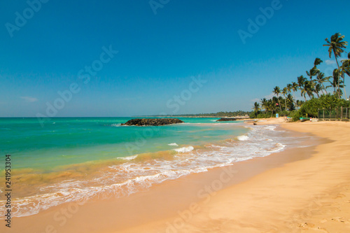 Untouched tropical beach with palms, sandy tropical exotic beach in Sri-Lanka