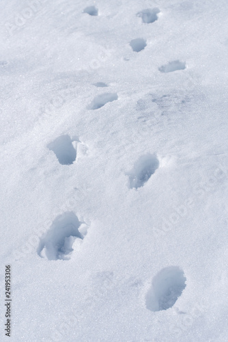 Footprints in fresh snow background great concept for winter footwear