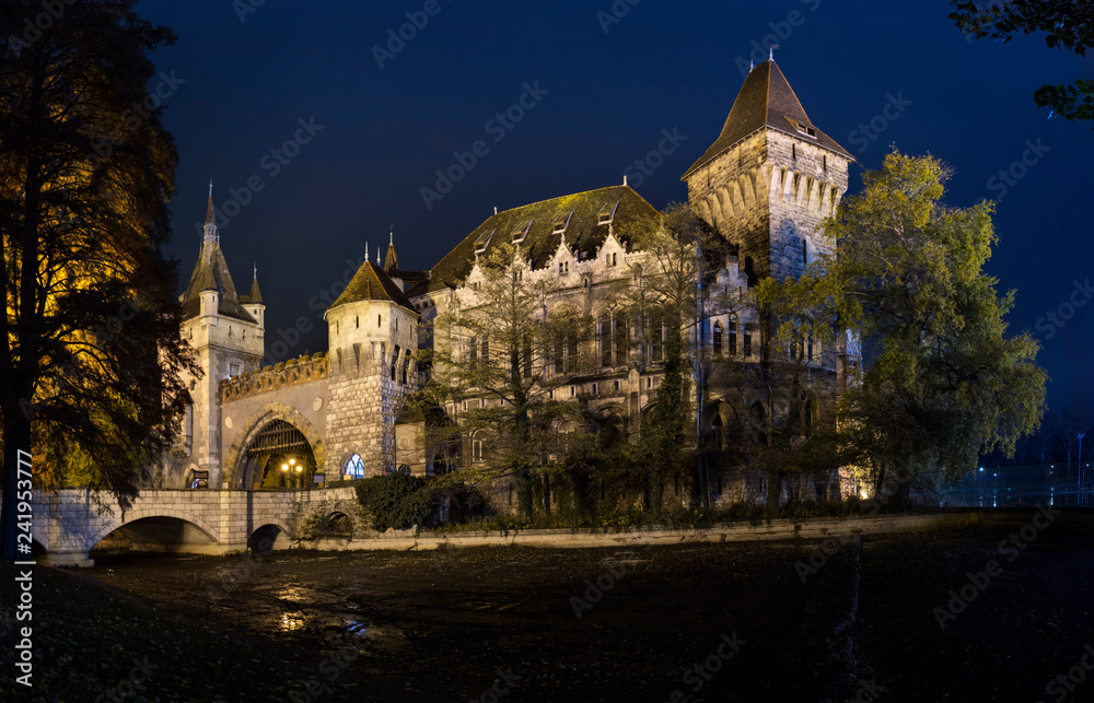 Night view of the Vajdahunyad castle in Budapest, Hungary