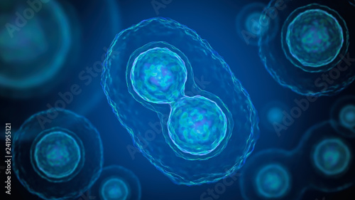 Mitosis - cell division of bacteria. 3D rendered illustration.