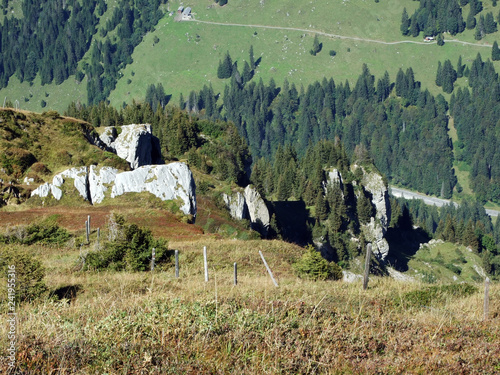 Stones and rocks from the peaks of Fisetengrat, Chamerstock and area - Cantons of Uri and Glarus, Switzerland photo