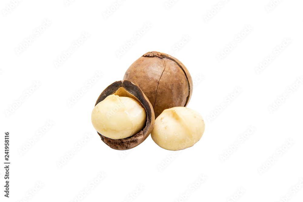 Close up macadamia nuts isolate on white background with clipping path.