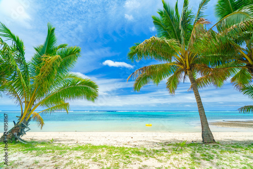 An idyllic beach with palm trees in Rarotonga in the Cook Islands