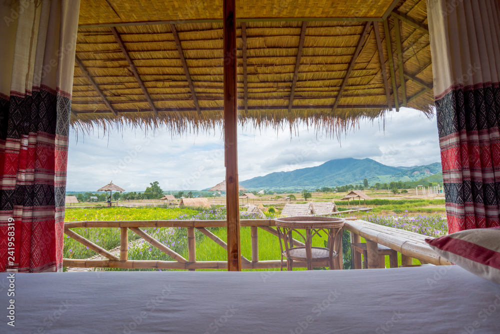 Natural  homestay ,Best Organic Farm Stays in Thailand