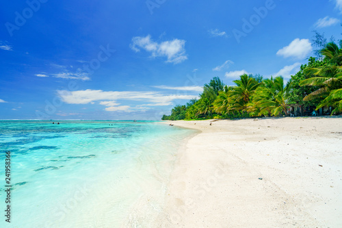 Fototapeta Naklejka Na Ścianę i Meble -  An idyllic beach with palm trees in Rarotonga in the Cook Islands