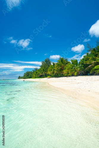 Fototapeta Naklejka Na Ścianę i Meble -  An idyllic beach with palm trees in Rarotonga in the Cook Islands