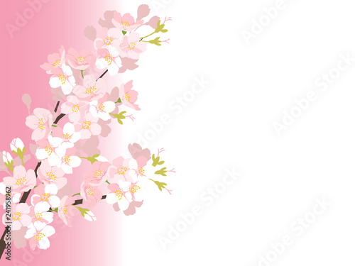 桜の背景イラスト © necozawa