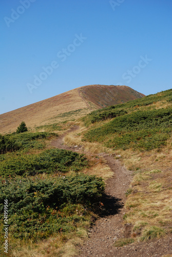 Peak Kom, Old Mountain - Berkovitsa, Bulgaria