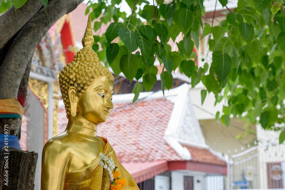 Buddha statue under Bodhior or pho tree