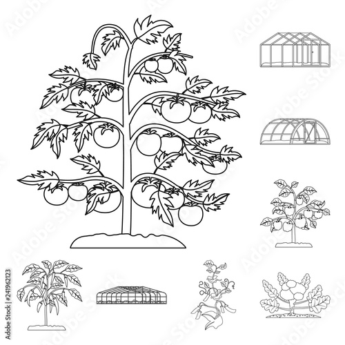 Wallpaper Mural Isolated object of greenhouse and plant logo. Set of greenhouse and garden stock vector illustration. Torontodigital.ca