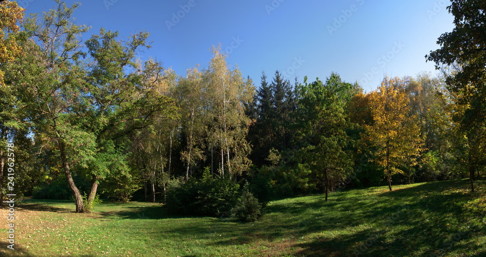 Trees in Sofiyivka Park in Uman, Ukraine
