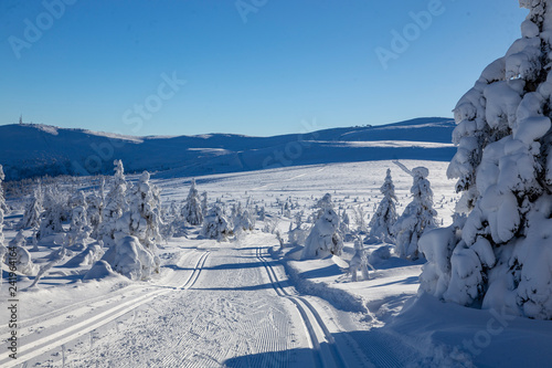 Winter landscape with snow and blue sky in Trysil municipality, Hedmark county