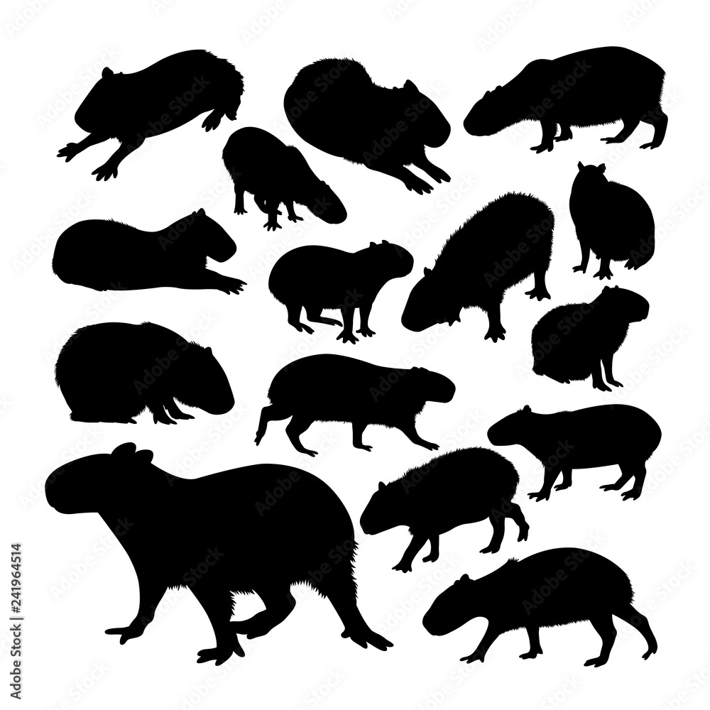 Fototapeta premium Capybara animal silhouette