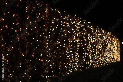 Night lights 