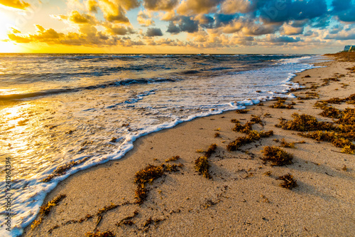 Fototapeta Naklejka Na Ścianę i Meble -  Waves on Miami beach in colorful sunrise, Florida, United States of America