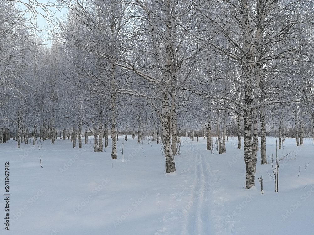 Winter landscape with snow covered trees Winter landscape with snow covered trees