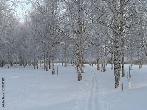 Winter landscape with snow covered trees © severga