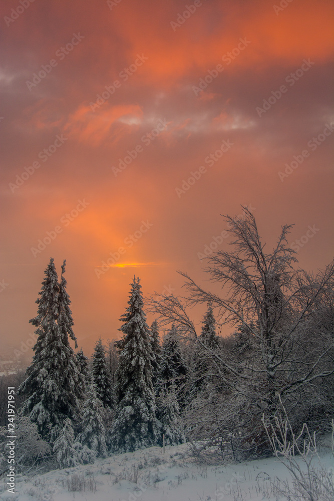 Wschód słońca Jaworzyna Krynicka,Beskid Sądecki.
