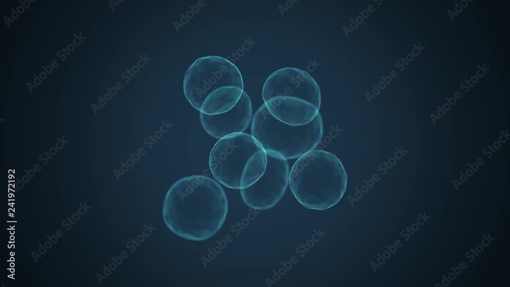 Cell division - mitosis and reproduction concept. 3D rendered animation.