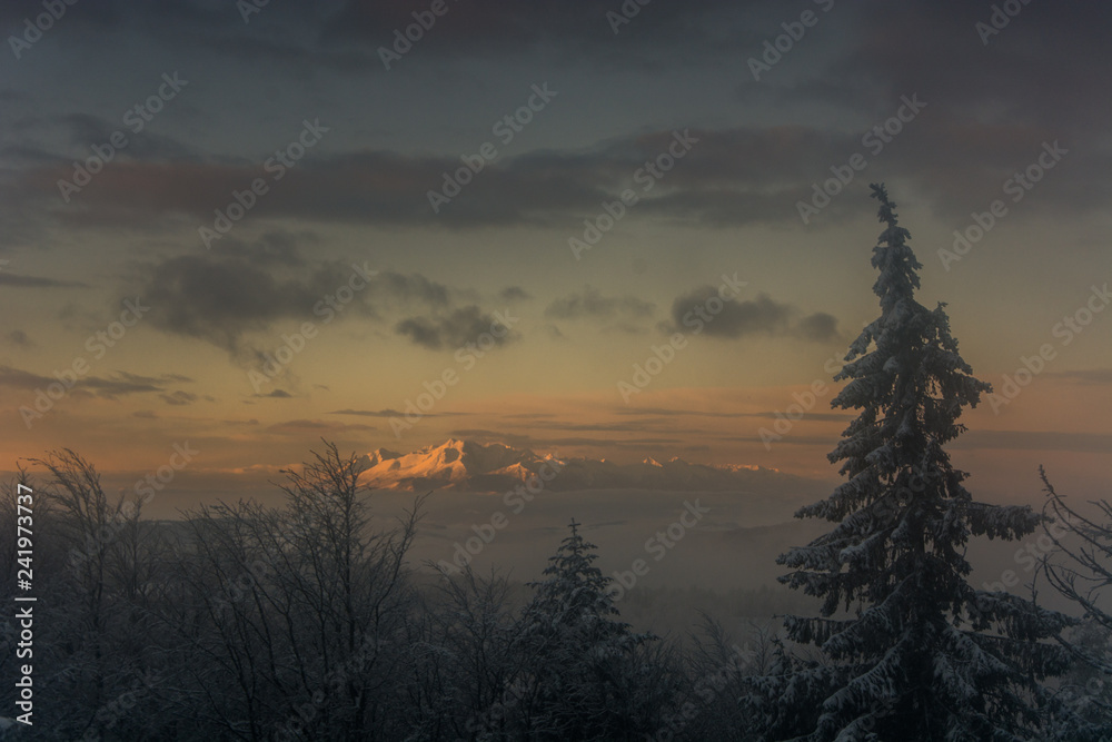 Tatry o wschodzie słońca widoczne z Jaworzyny Krynickiej,Beskid Sądecki.