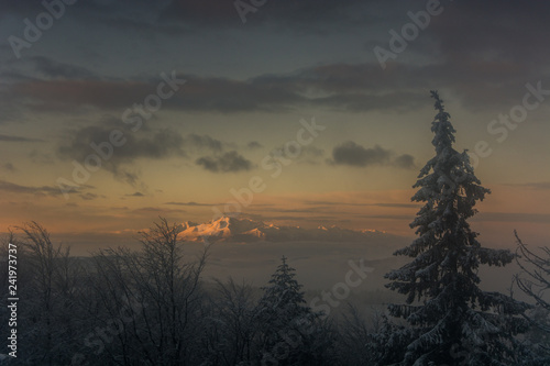 Obraz na płótnie Tatry o wschodzie słońca widoczne z Jaworzyny Krynickiej,Beskid Sądecki. w salonie